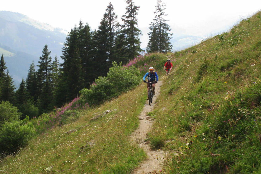 Single Trail, Gstaad