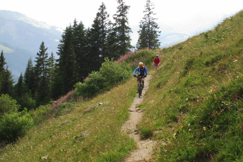 Mountainbike Tour Gstaad Single Trail, Gstaad