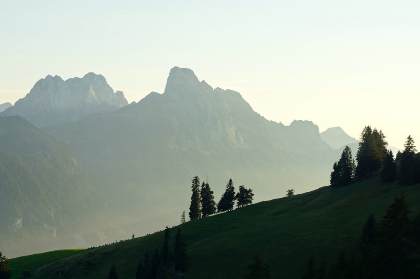 Alpenblumen Gstaad