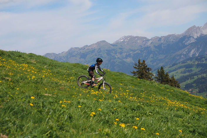 tägliche geführte Touren für Bike-Fans