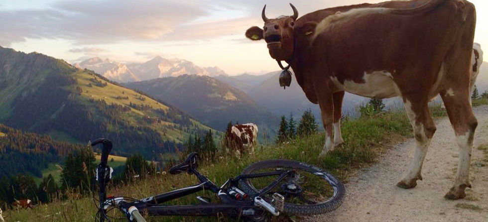 Bikehotel Rössli Gstaad