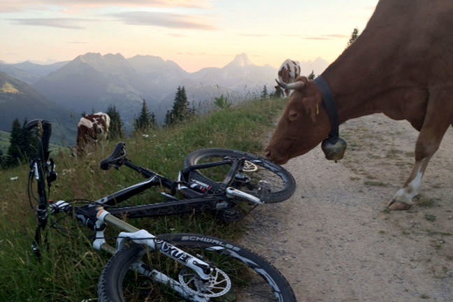 Gstaad - Turbach - Heuberg - Trüttlisberg - Lauenen - Gstaad